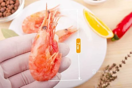 креветка размер 7 см